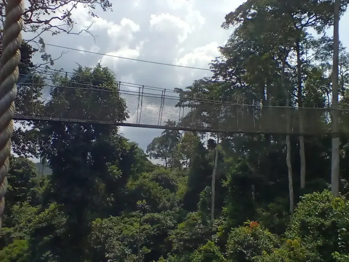 Kakum National Park canopy walkway
