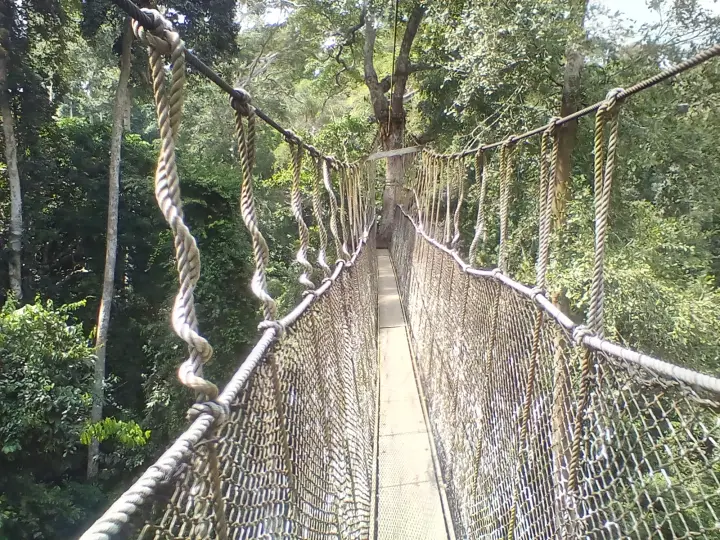 Kakum National Park